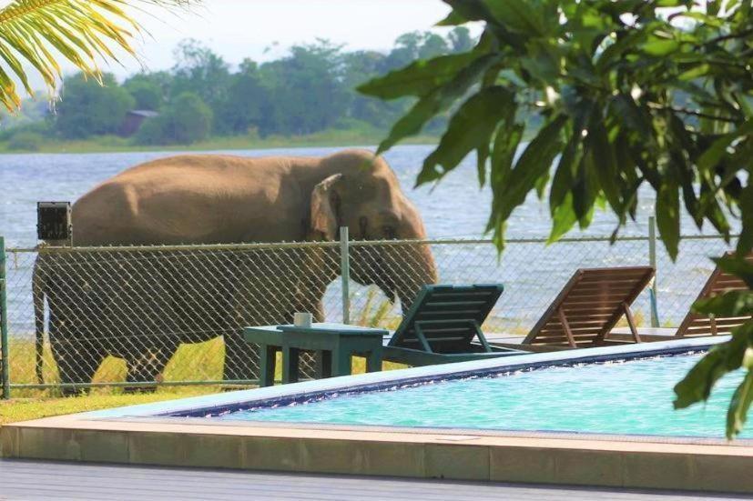 Hotel Lake Park Polonnaruwa Exterior photo
